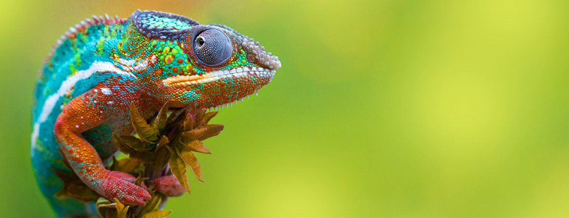Imprimerie Numérium: on s'adapte à vos besoins